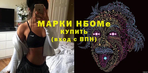 хмурый Богородицк