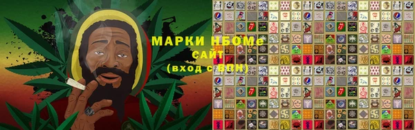 хмурый Богородицк