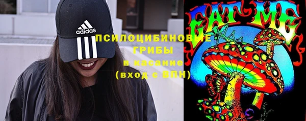 бошки Слюдянка
