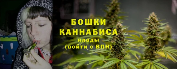 хмурый Богородицк