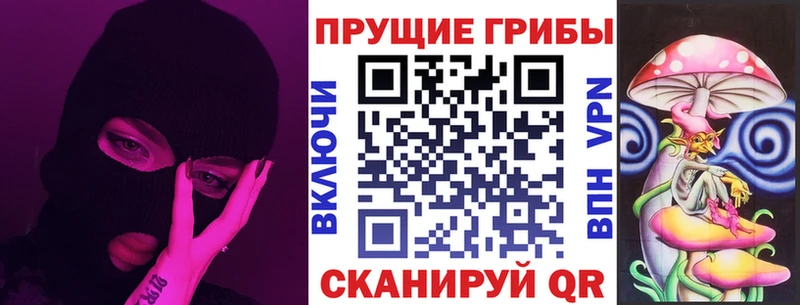 Галлюциногенные грибы Cubensis  даркнет сайт  Тында 
